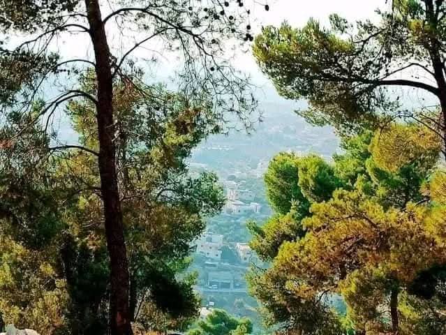 يافا | موسوعة القرى الفلسطينية